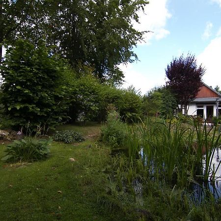 Ferienhaus Wildblick Шляйден Экстерьер фото