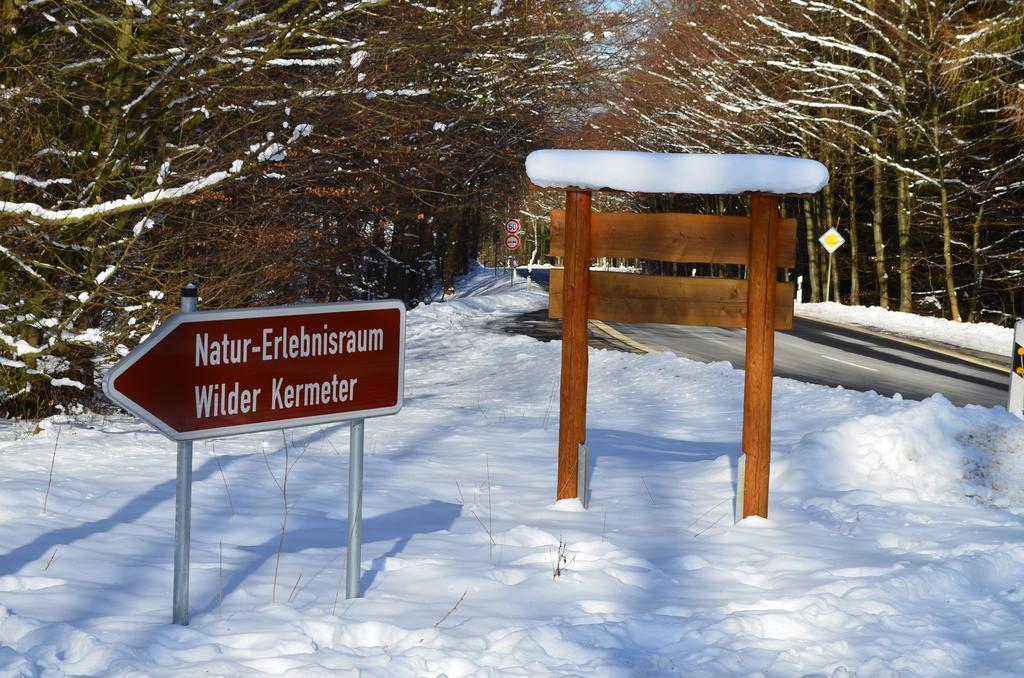 Ferienhaus Wildblick Шляйден Экстерьер фото